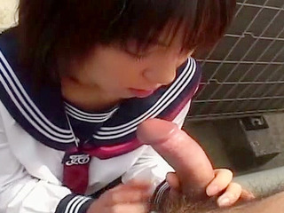 Japanese teen's blowjob in the toilet will make you cream your pants!