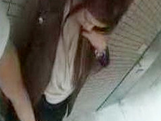 Fucking a Nippon slut's wet pussy and jiggling tits.