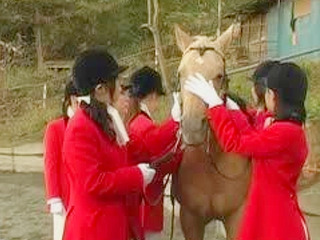 Want to fuck in the stable in Japan Watch JAV XXX tube videos for some inspiration.